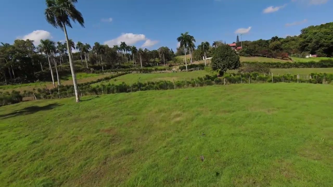 Buy Farm Dominican Republic - Cheap Farm For Sale