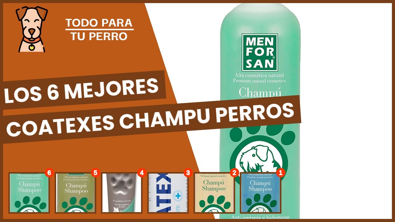 Los 6 mejores coatexes champu perros