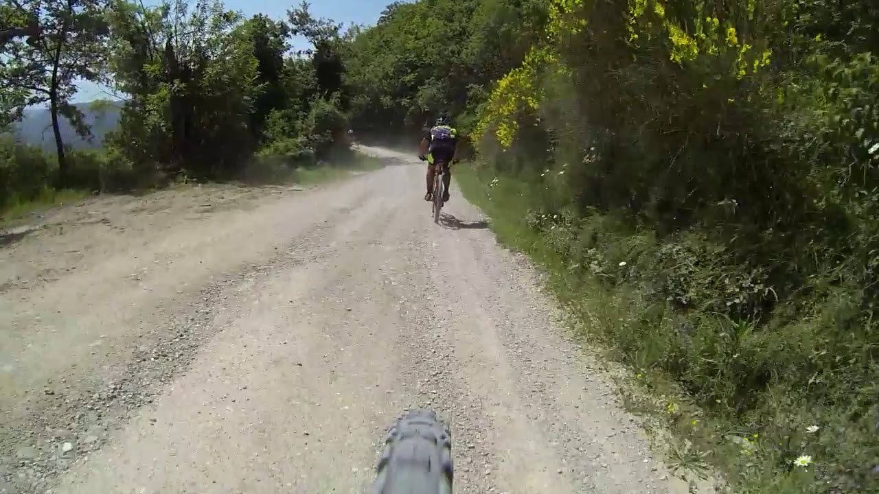 My Video-4.mp4