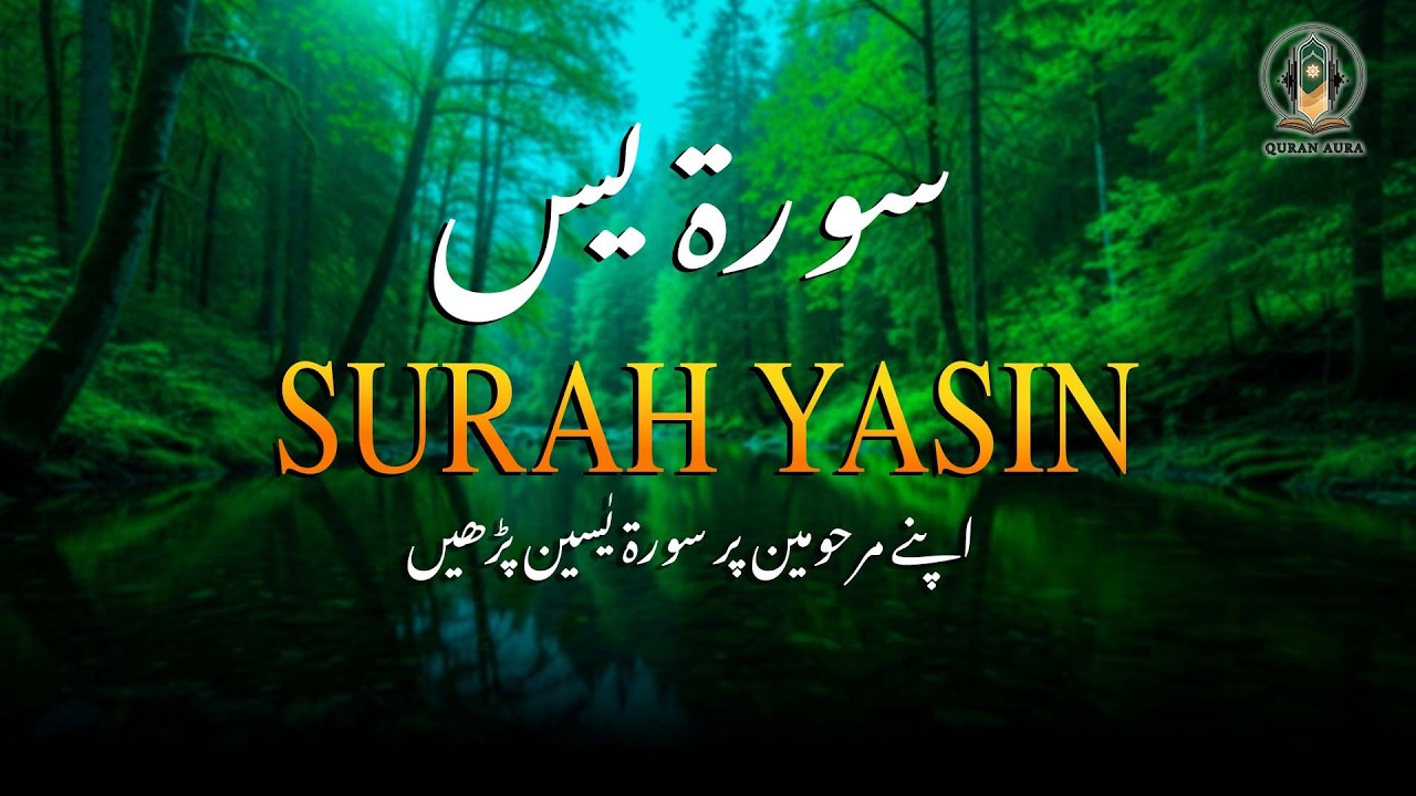 Heart Touching Surah Yaseen Recitation | Urdu & Hindi | Rajab Al-Najjar | QURAN AURA Urdu