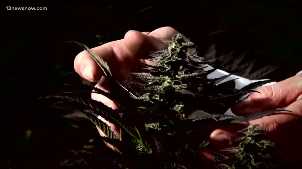 Virginia's new marijuana laws go into effect at midnight