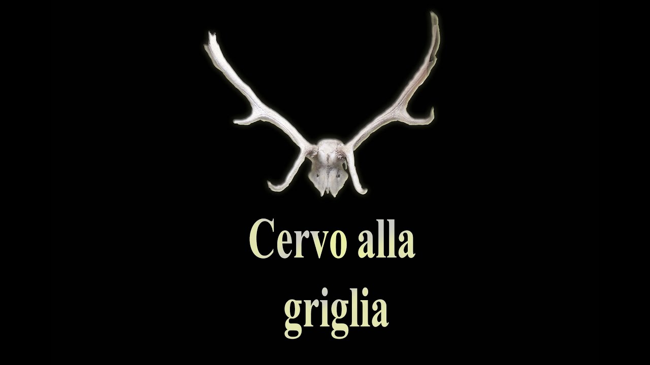 cervo alla griglia - cacciagione