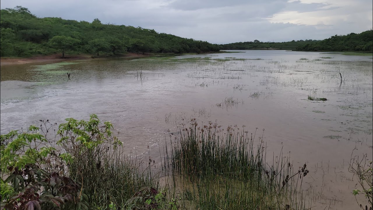 Fomos olhar a cheia do açude das queimadas Remigio pb foi muita chuva domingo 01/03/26