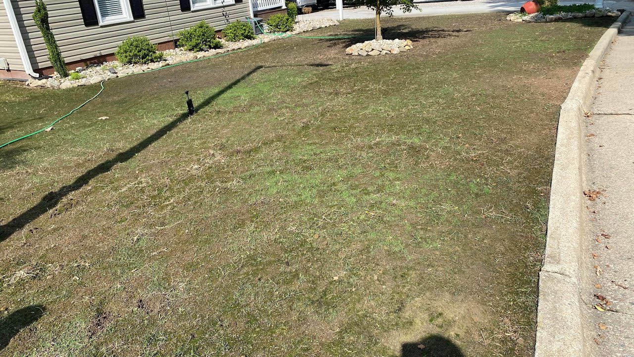 Spring seeding options for warm season and cool season grasses