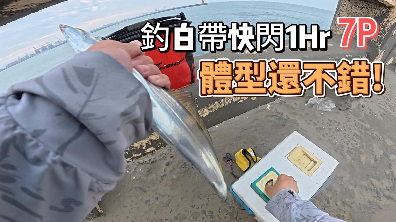 台中港北堤2026今年的白帶魚要找對點!!不再是永遠的堤尾了......
