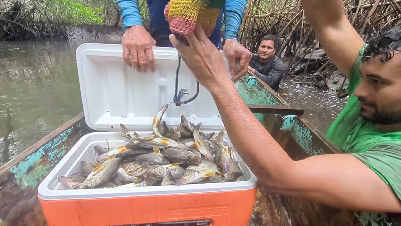 Mira la gran cantidad de peces que emos atrapado hoy 