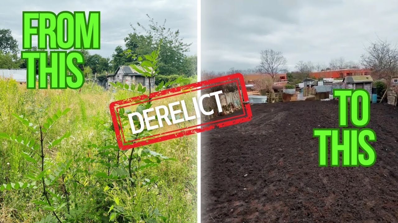 Allotment Gardening Transformation TIMELAPSE