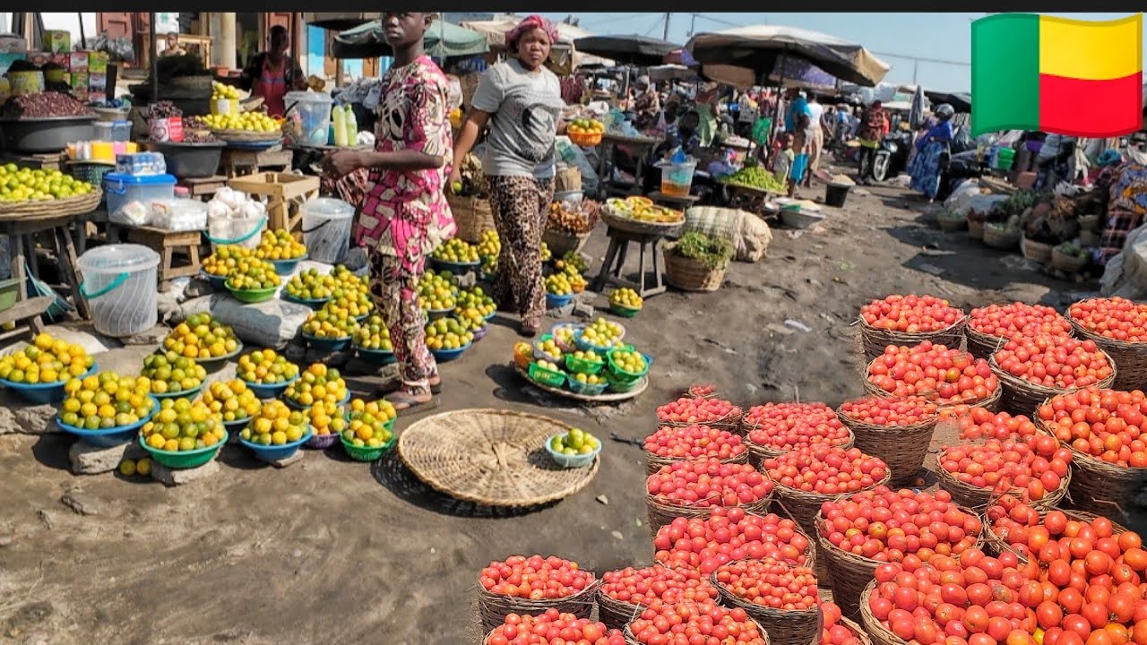 Food shopping in the cheapest food market in Cotonou Benin West Africa. Driving from Benin to Togo🇹🇬