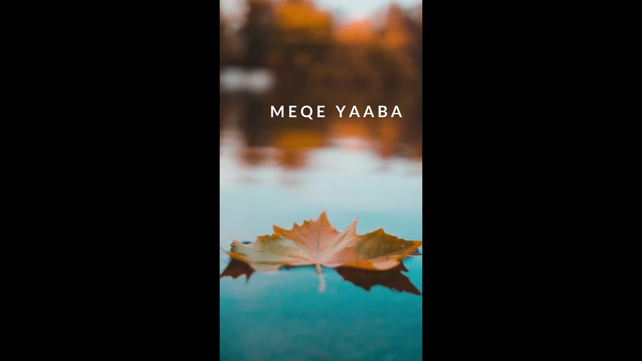 kadam meqe yaaba cheikh ARBA Rahimahu Allah