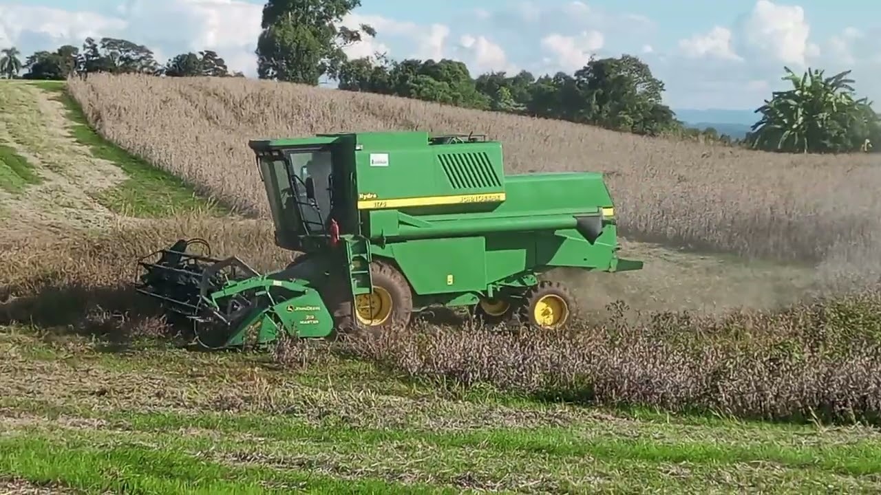 Colhedeira John deere 1175 na colheita da soja 