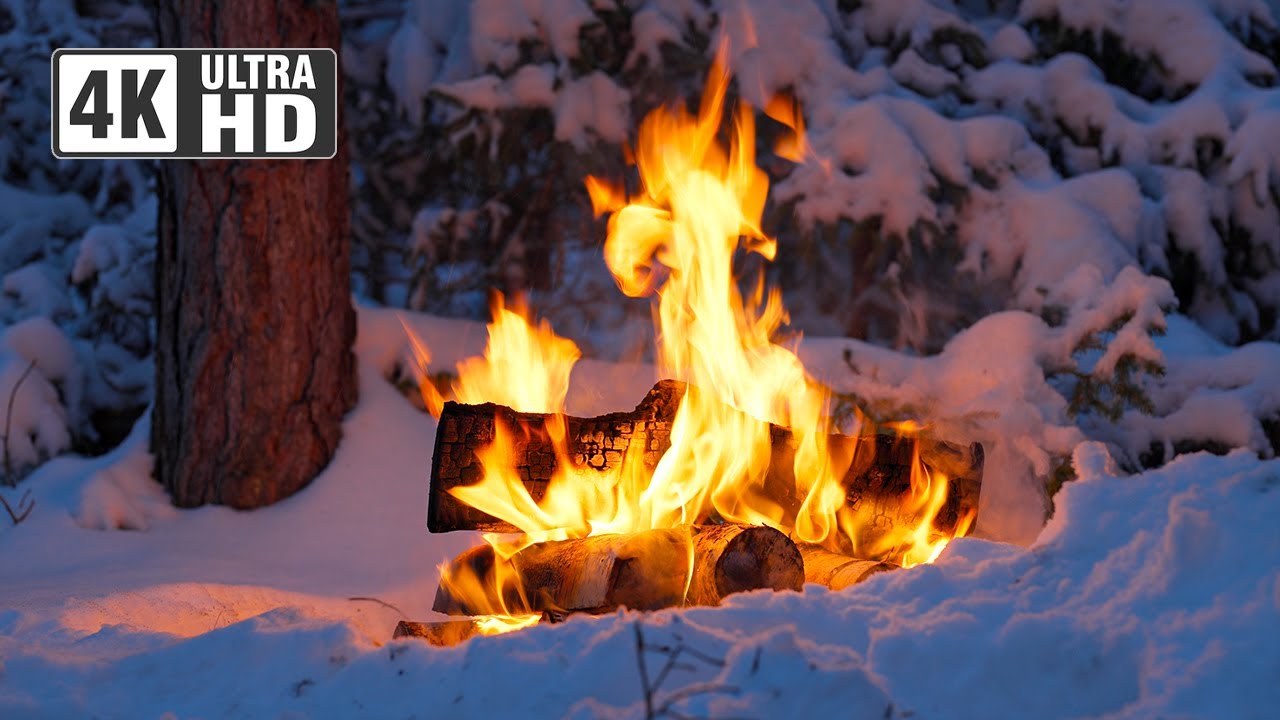 4K 📺 Тихий зимний костер в глухом лесу ❄️🌲Уютная зимняя природа
