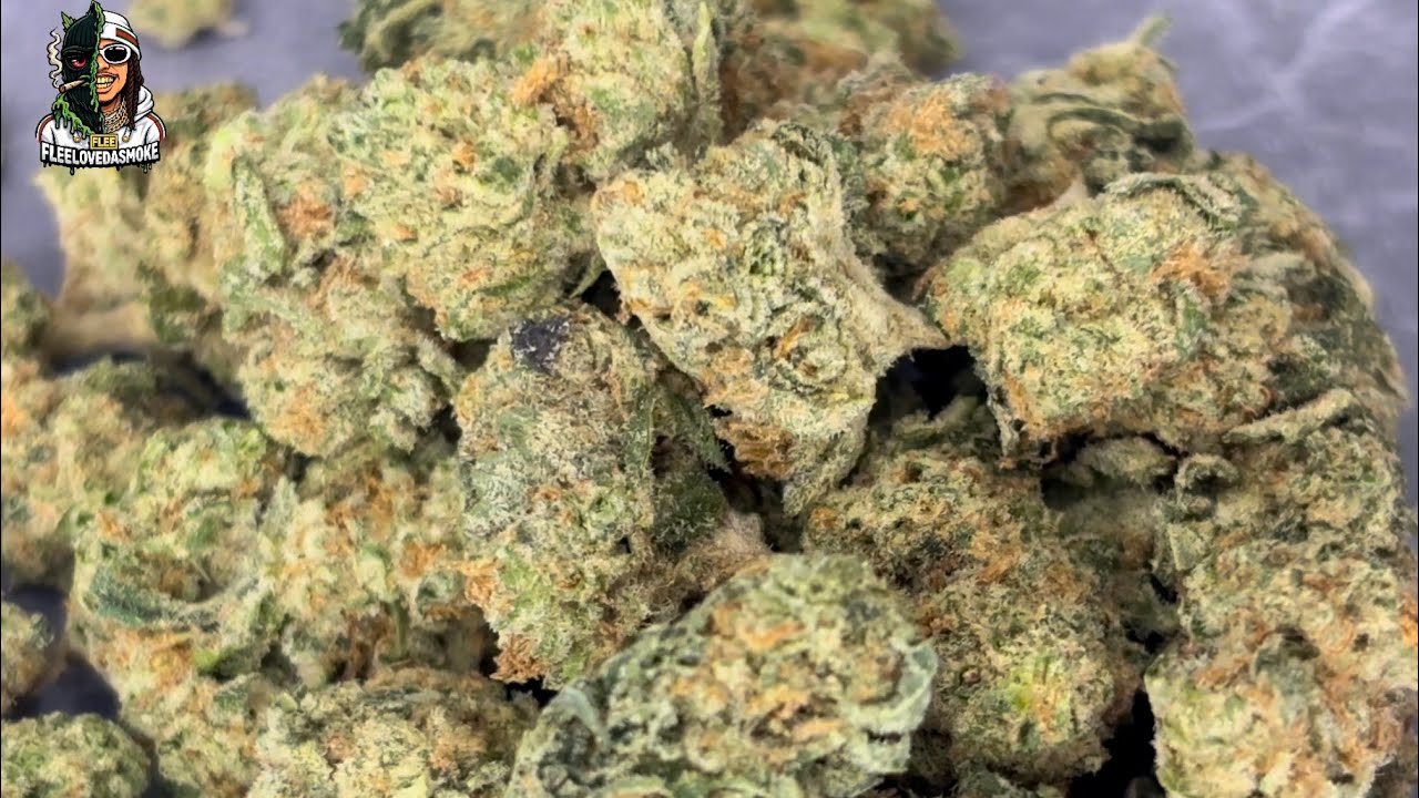 THCA Small Buds 🍌 | Divine Banana | Gas or Pass? ⛽️🔥