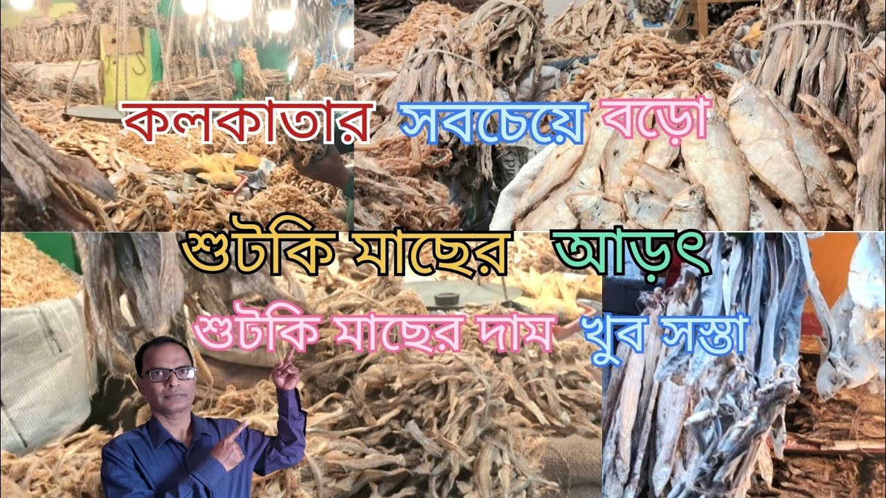 কলকাতার সবচেয়ে বড় শুটকি মাছের মার্কেট ll Dried fish market in kolkata ll 
