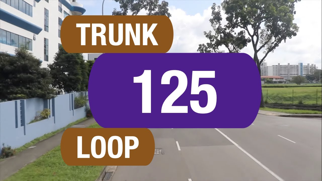 SBS Transit Trunk 125 | Bus Service Route Visual