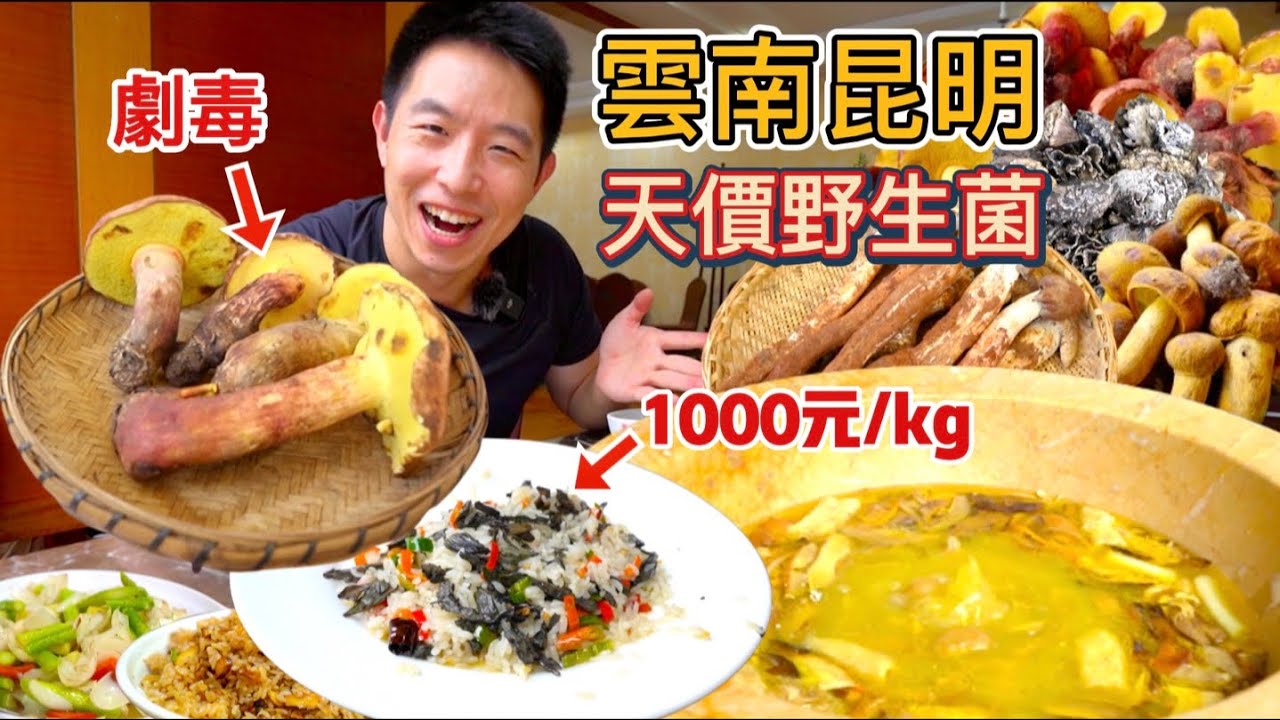 雲南昆明1000元一公斤頂級野生箘，有毒見手青吃完什麼感覺？