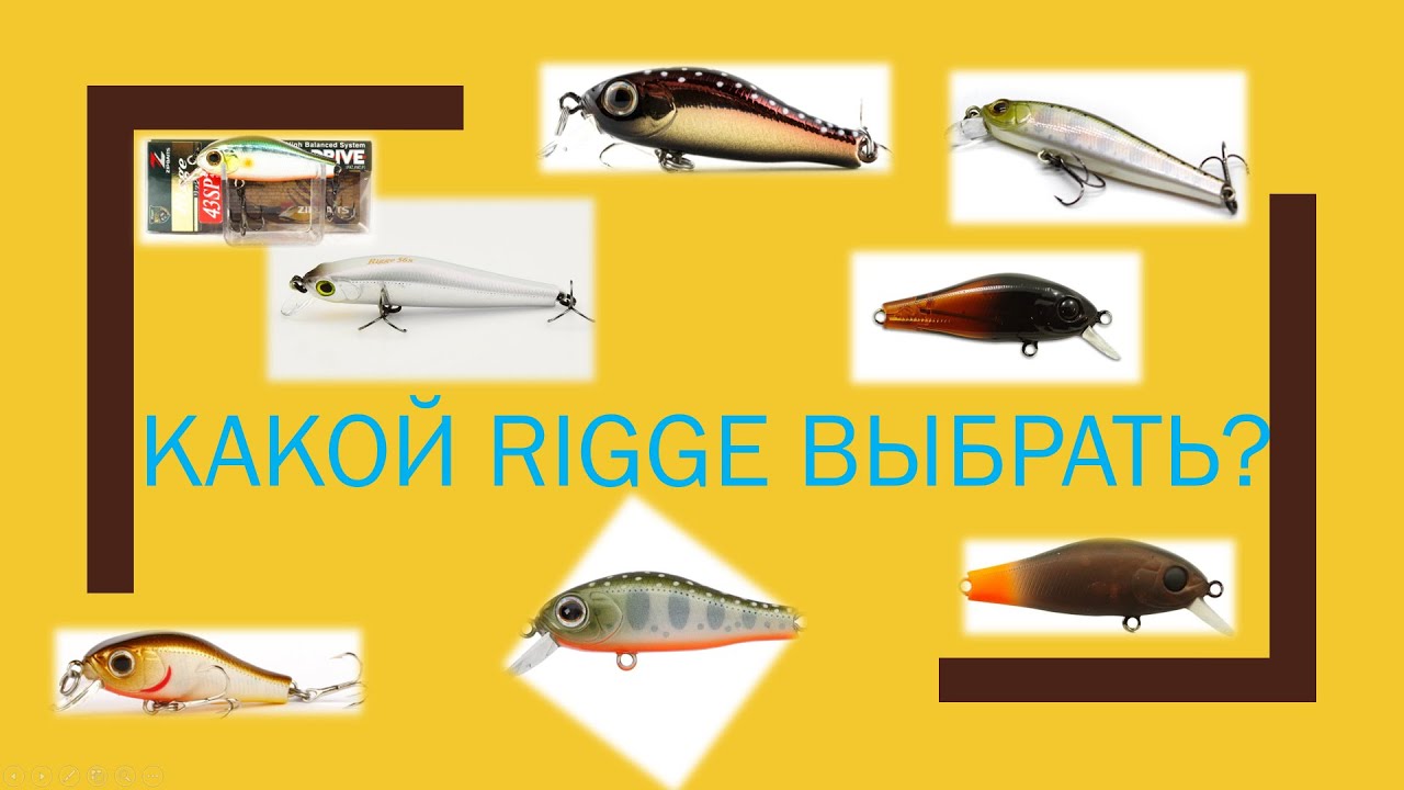 Какой RIGGE выбрать...