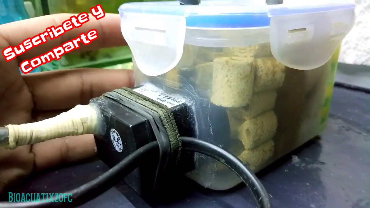 Como hacer un filtro cannister mini parte 2