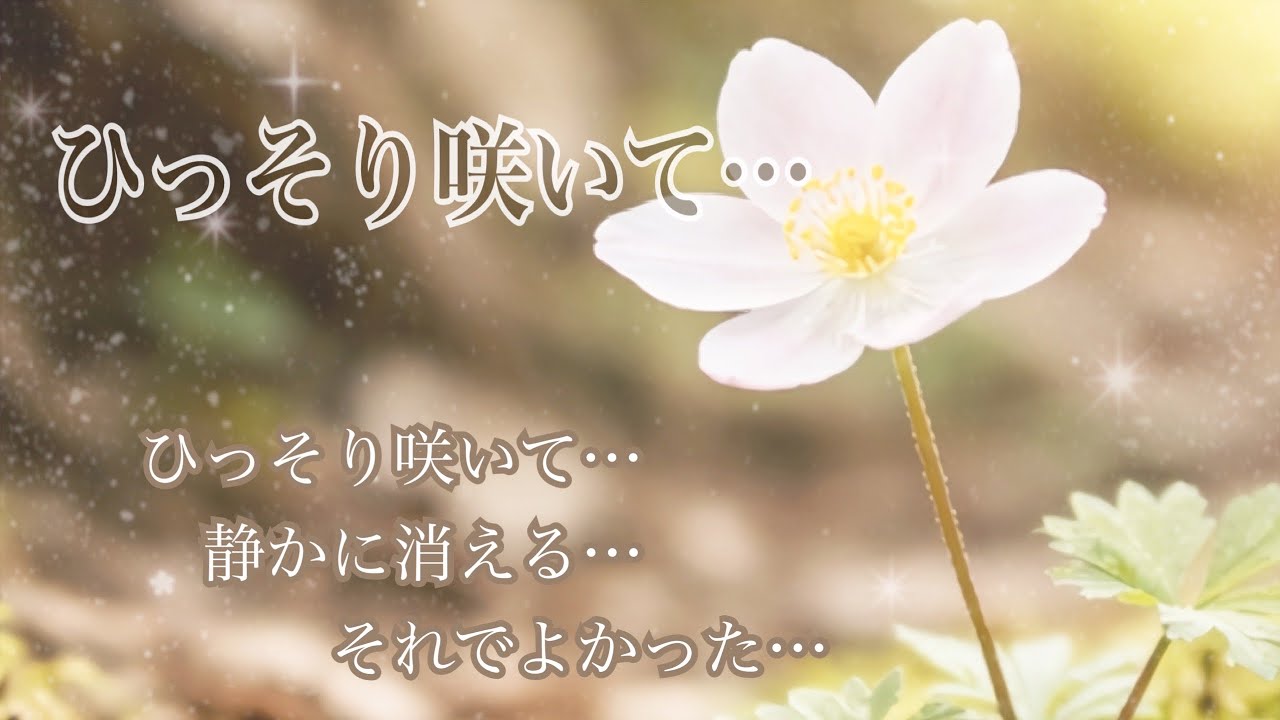 ひっそり咲いて…       ｊrock  ver.