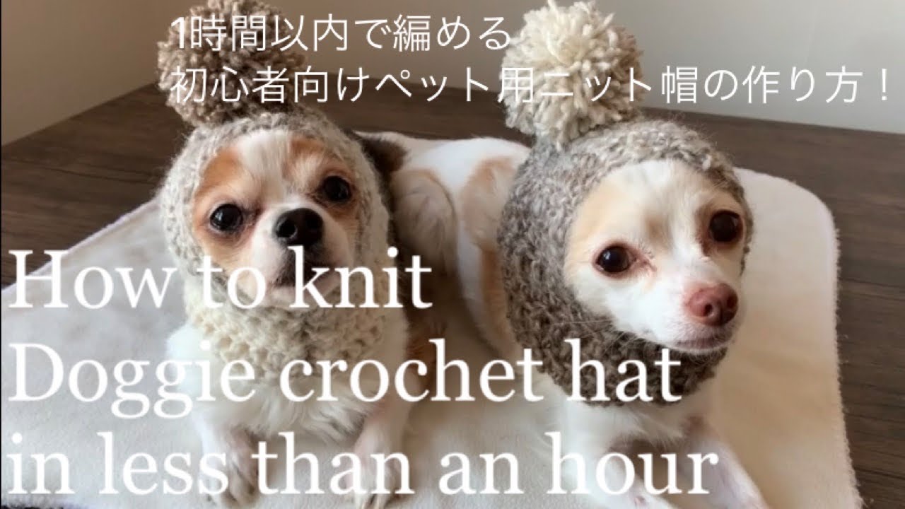1時間以内で編めちゃった！初心者向けペット用ニット帽の作り方！