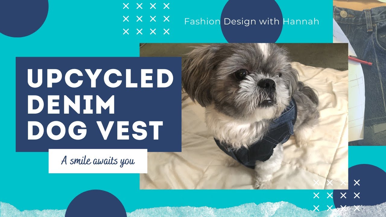 An Upcycled Denim Dog Vest to Make You Smile | Halloween Pet Costume | DIY