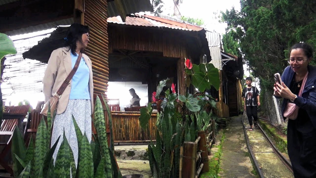 Dừng Chân Rừng Thông Quán - Đường Ankroet, Tp.Đà Lạt, Tỉnh Lâm Đồng (6/2025)