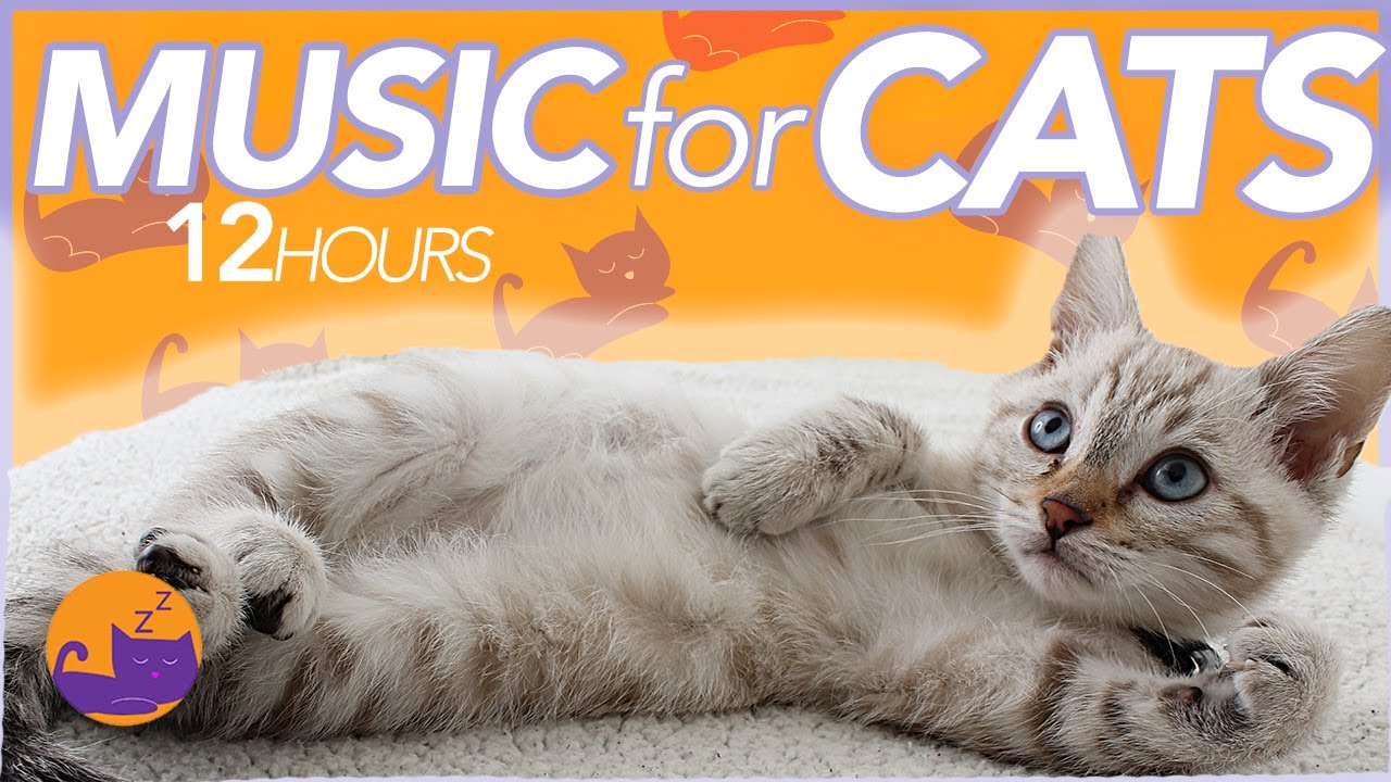 ULTRA CALMING Music for Anxious and Restless Cats - 12 Hours