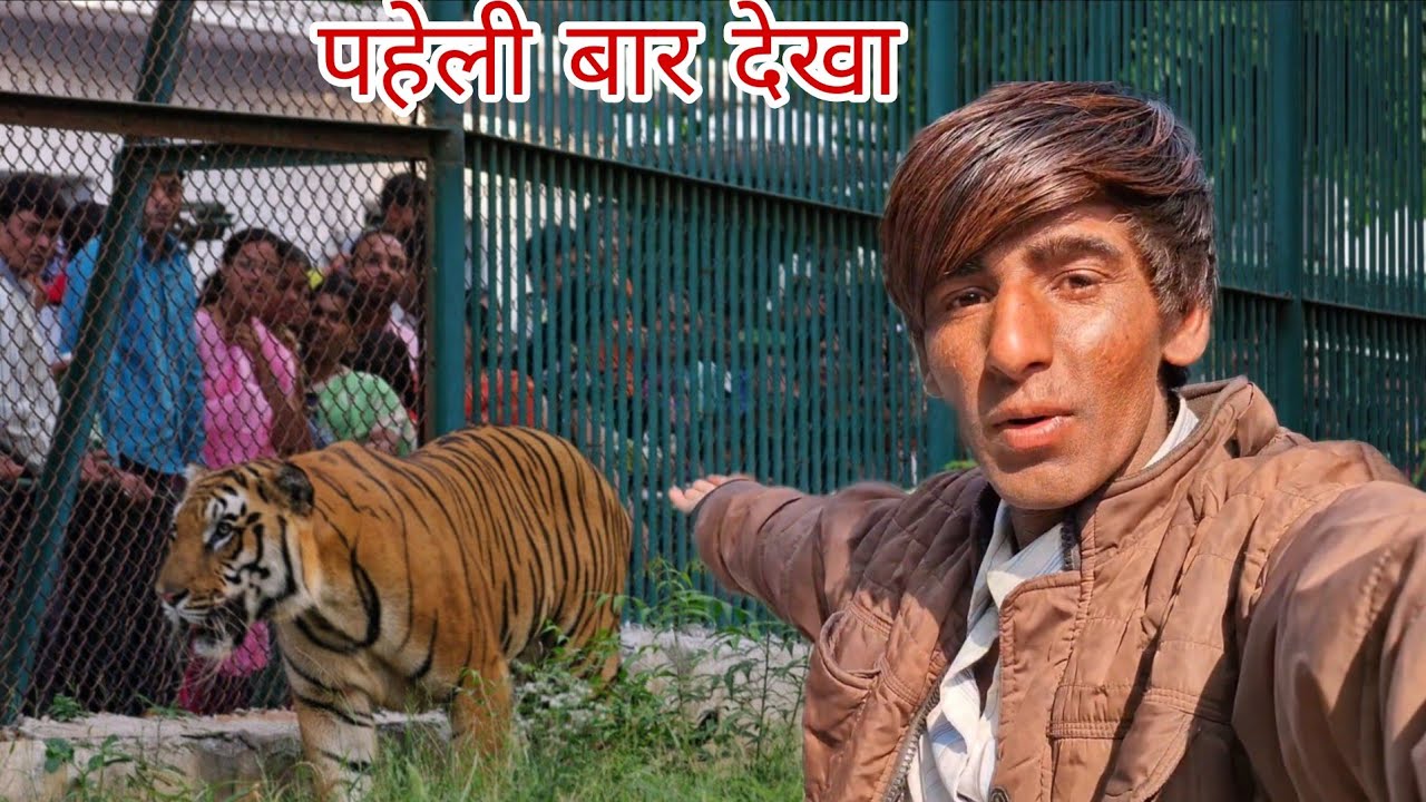 My first vlog | village gavala 