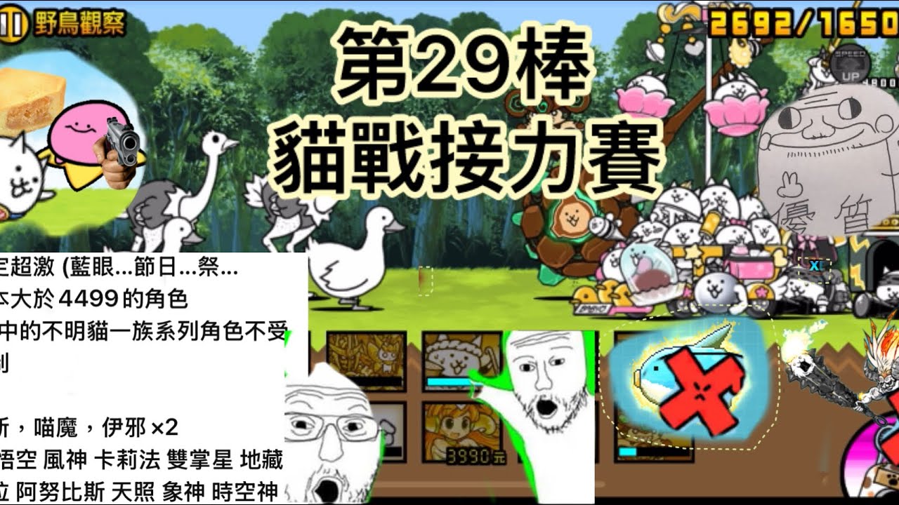 貓戰接力賽第二輪