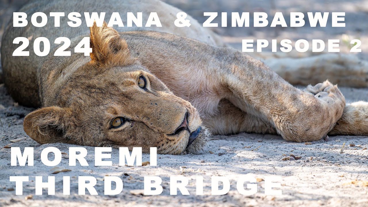 Moremi Third Bridge - Botswana and Zimbabwe 2024 - Episode 2