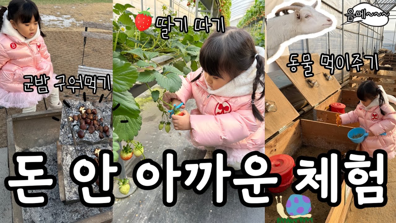 아이 데리고 갔다가 엄마가 더 만족한 체험농장 🐰 (돈 안 아까움)