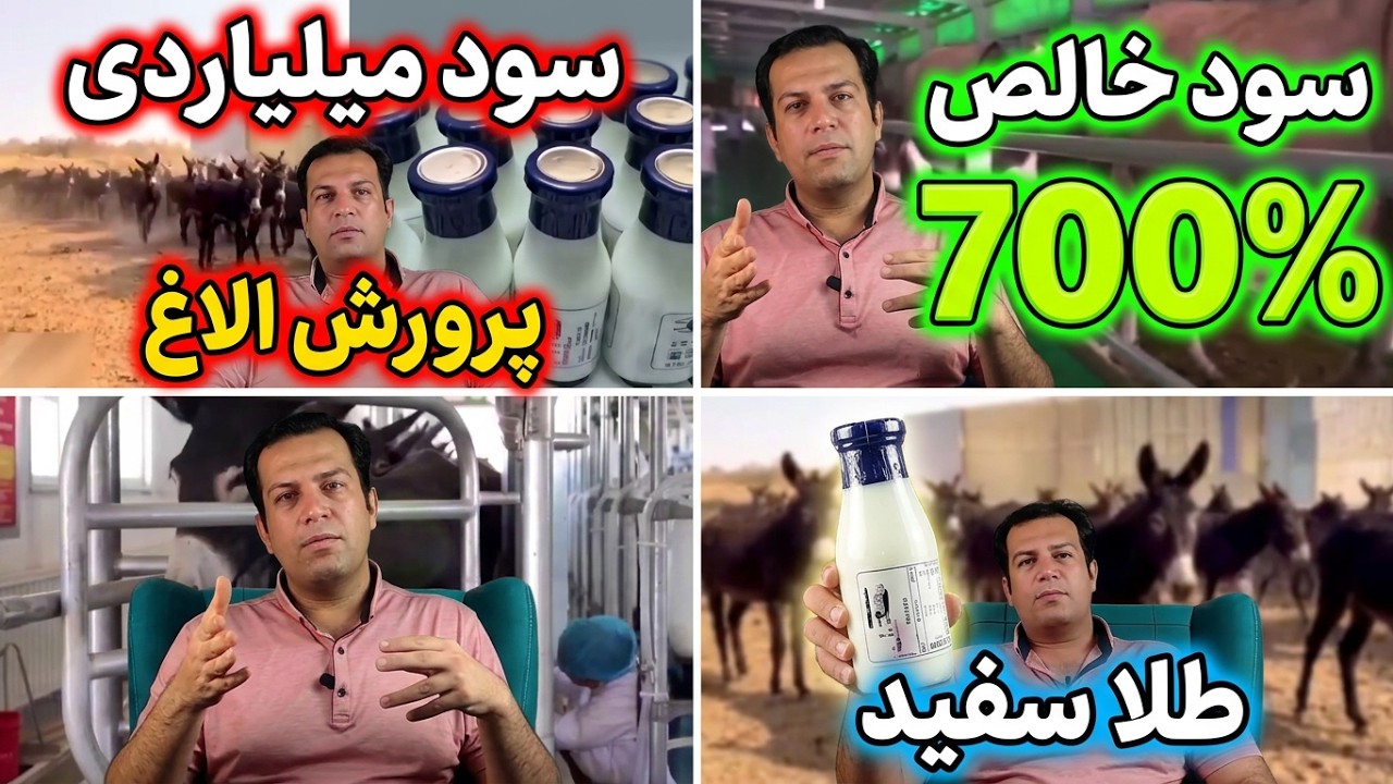 آموزش پرورش الاغ , پرورش خر , سود پرورش خر , پرورش خرشیری , پرورش خردرایران , مستند پرورش خر