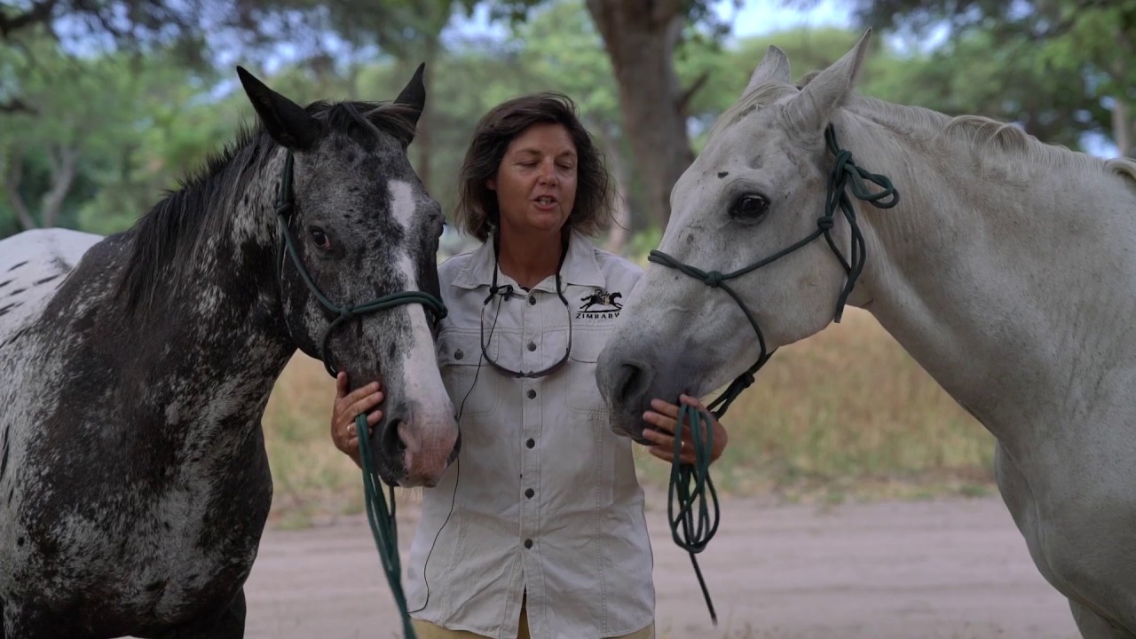 Ride Zimbabwe - Hwange Horseback Safari