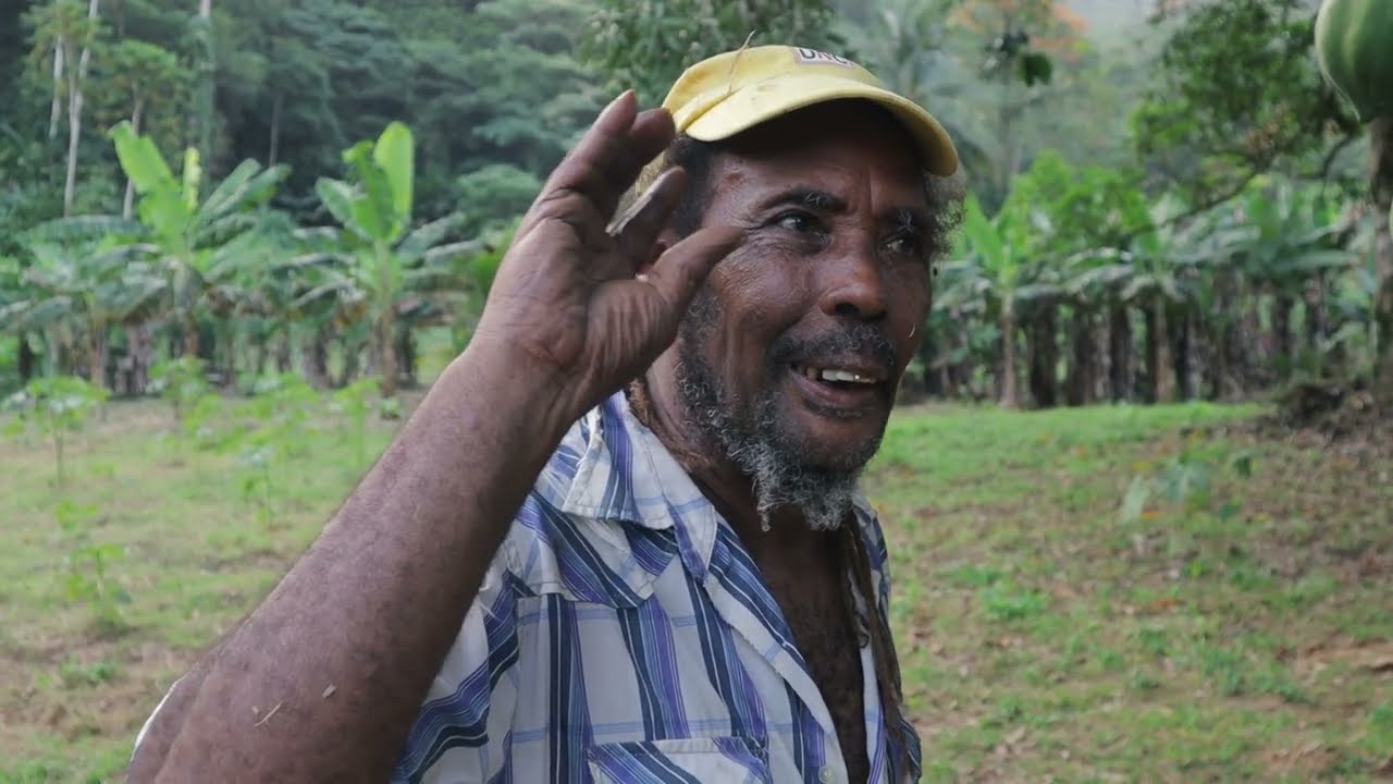 preparing for macoya market in Trinidad