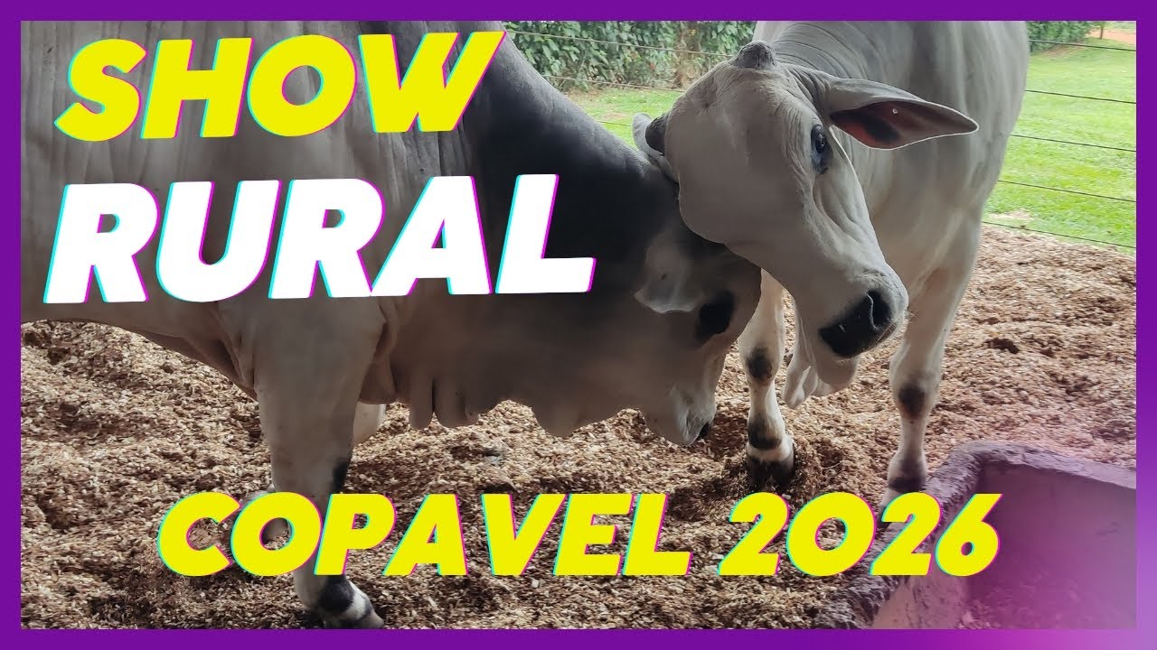 SHOW RURAL COPAVEL 2026 CASCAVEL PARANÁ 