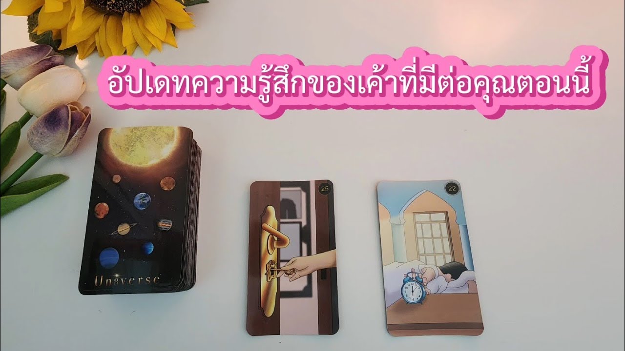 🌻🍀Pick a card อัปเดทความรู้สึกของเค้าที่มีต่อคุณตอนนี้🧚‍♀️💌