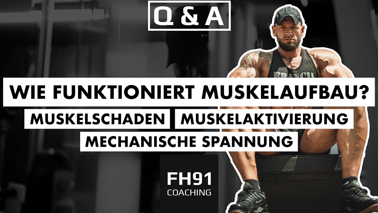 Wie Muskelaufbau WIRKLICH funktioniert! Die Grundlage für ein gutes Training 🦾