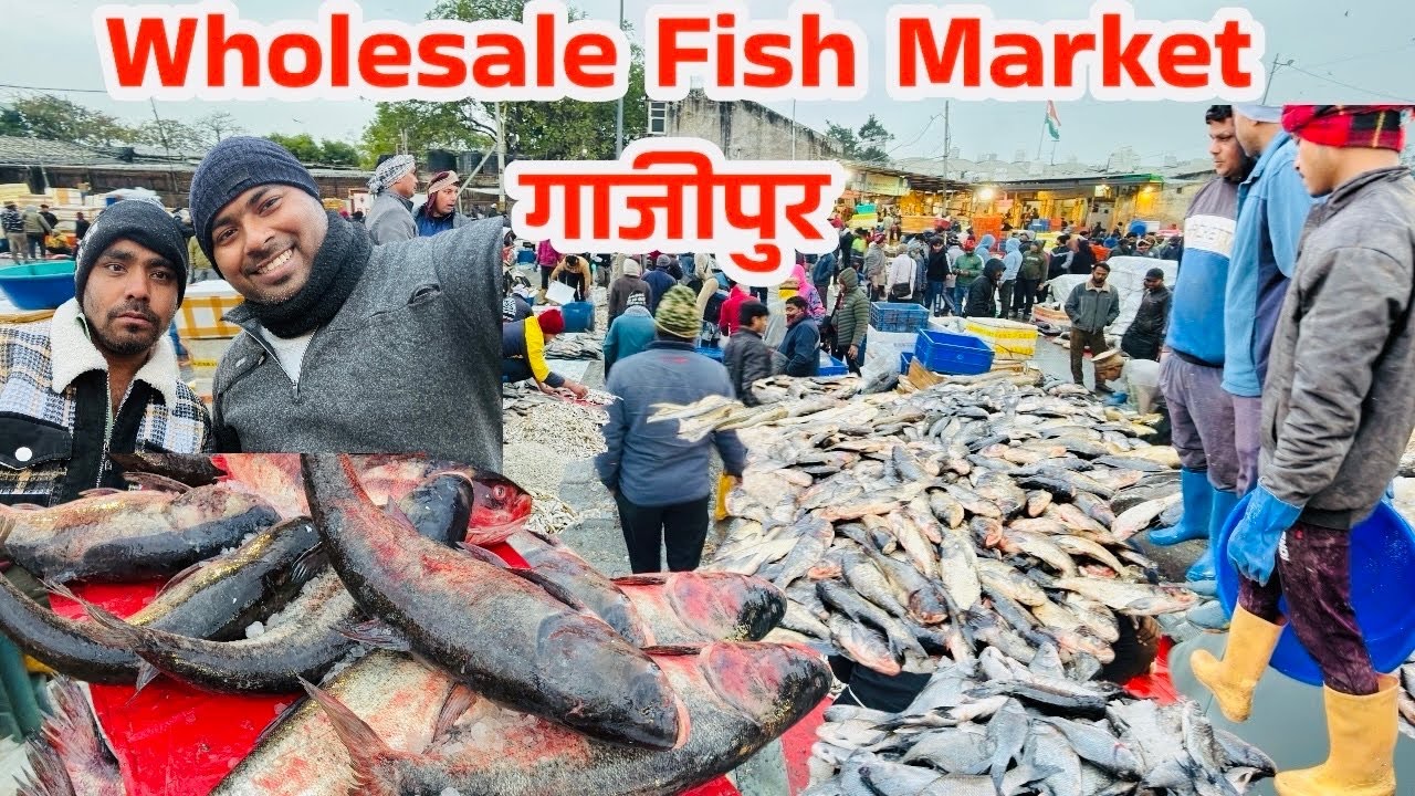 Ghazipur fish market rate today| ghazipur mandi fish market |ghazipur machli mandi|गाजीपुर मछली मंडी