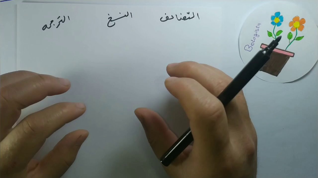 الفرق بين عملية التضاعف والنسخ والترجمه بمنتهى البساطه