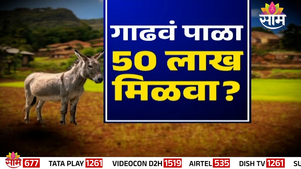 Special Report : गाढवं पाळा, 50 लाख मिळवा? | Donkey rearing government scheme