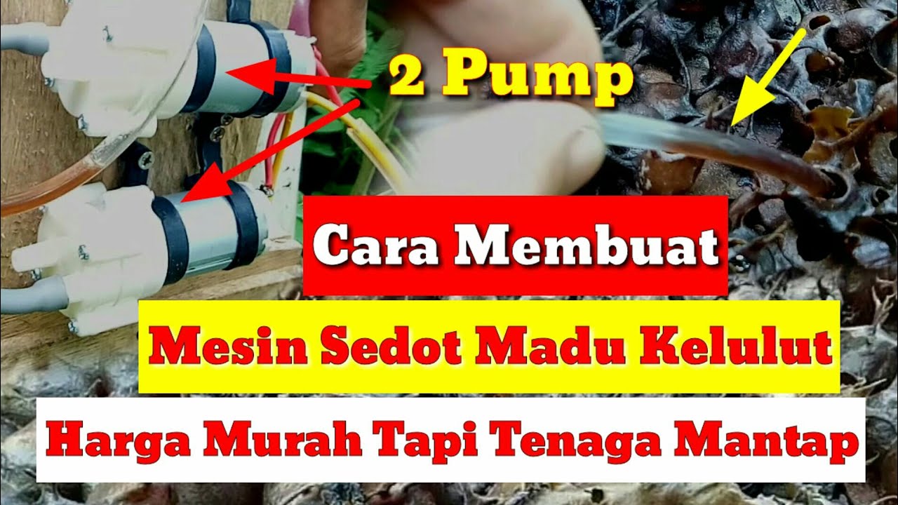 cara membuat alat sedot madu kelulut sederhana dengan 2 pump