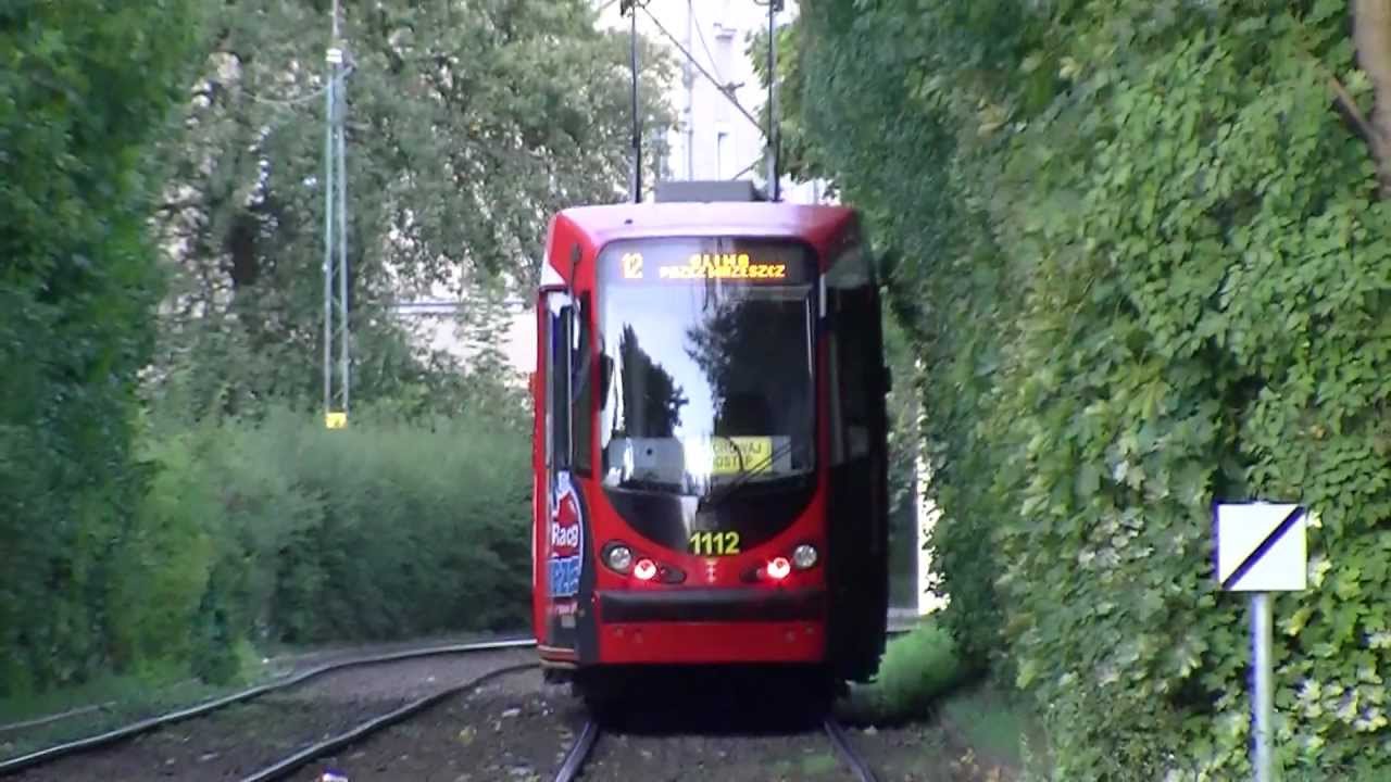 Piszczące tramwaje w Oliwie / StaraOliwa.pl