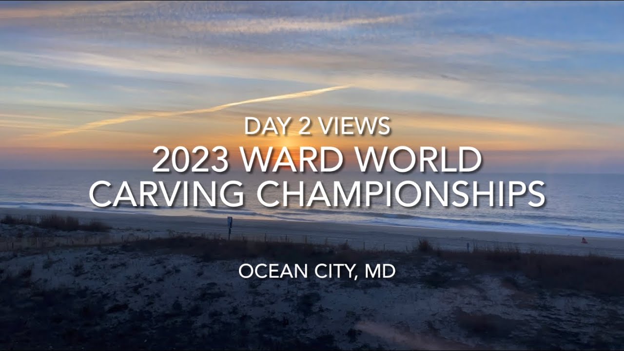 World Carving Championships Day 2 - More Views