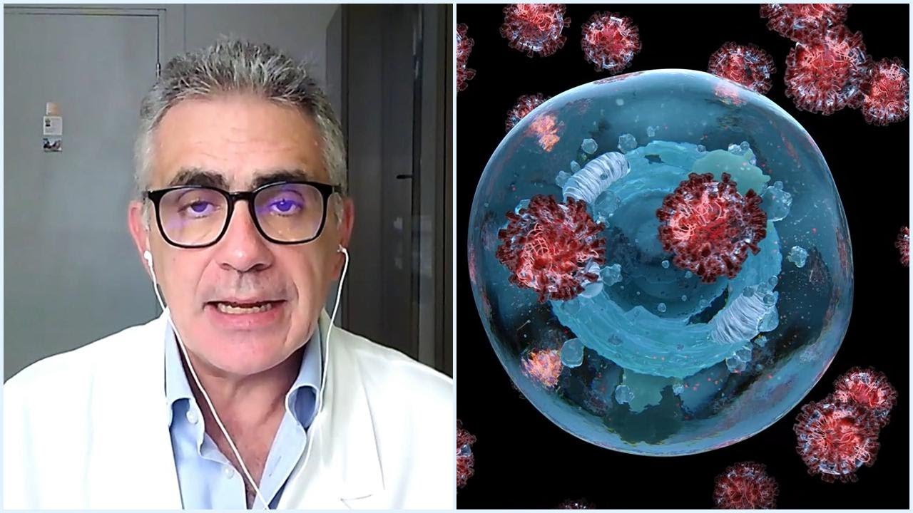 Omicron 5. Sintomi, contagiosità ed efficacia dei tamponi: come riconoscere la variante e difendersi