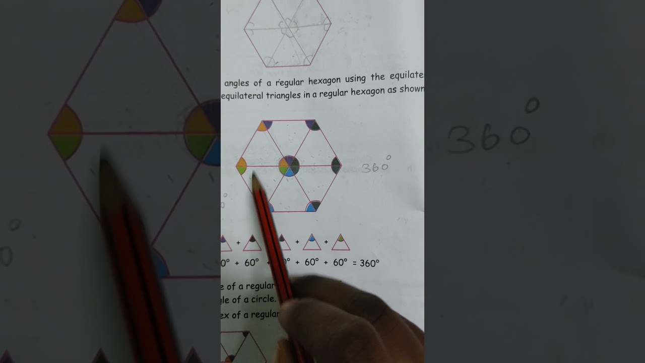 5th maths term-2 exercise:3.1
