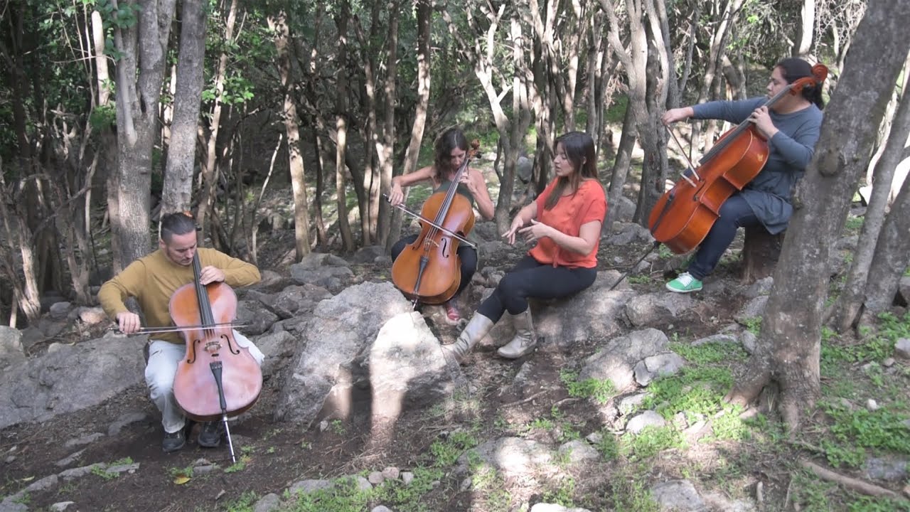 CANCIÓN CON ÁRBOL (Martín Neri)