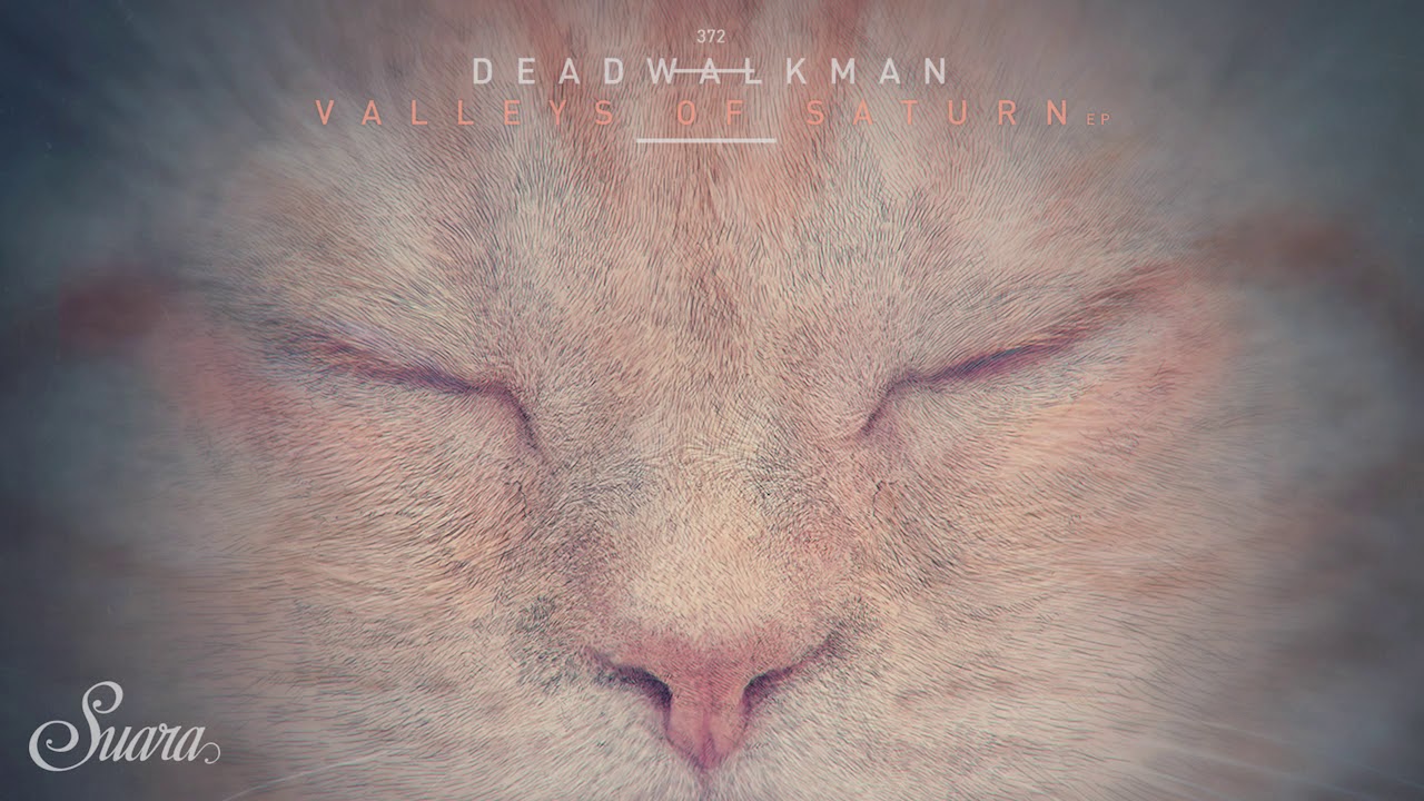DEADWALKMAN - Return To The Classics (Original Mix) [Suara]
