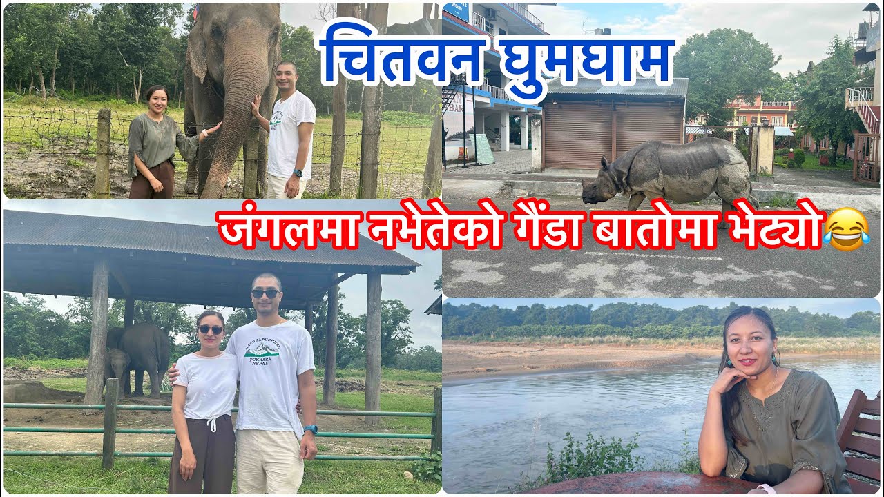 Chitwan Vlog|🌳❤️🦚Chitwan national park|Elephant safari|Elephant breeding center|canoe ride #Nepal