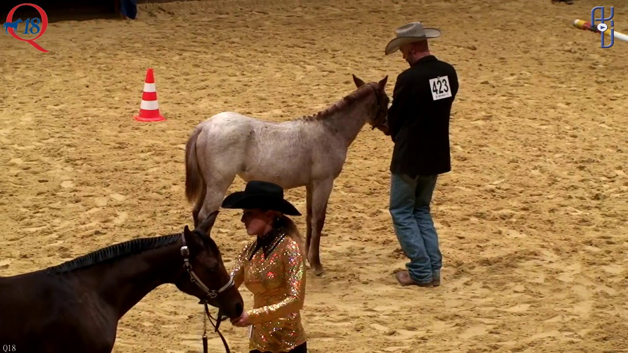 DQHA Futurity Champion Weanling Mares Late 2018