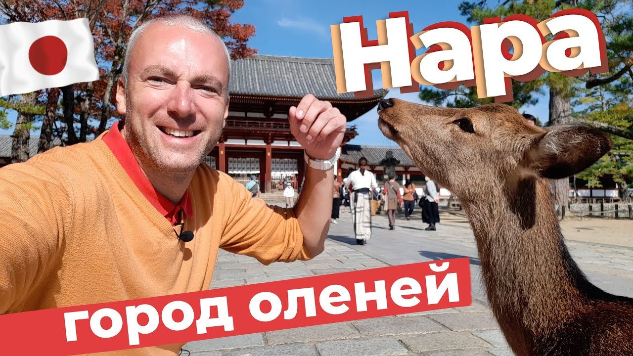 Нара - город оленей / Зоткингид