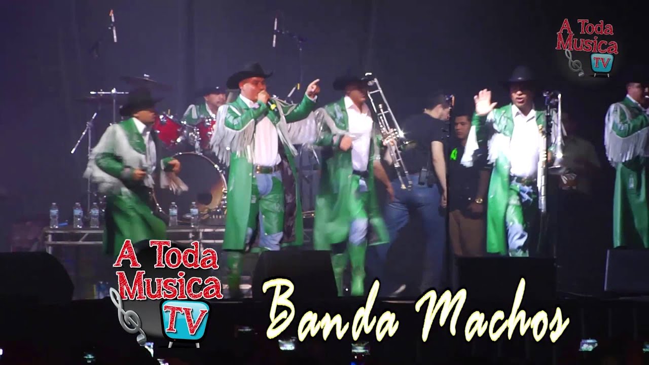 Banda Machos 